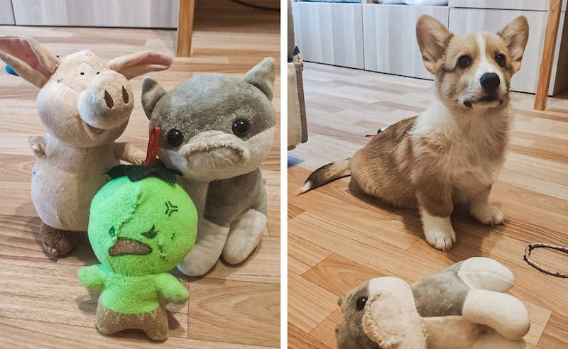 "Igračke su mnogo toga pretrpjele u igri..."