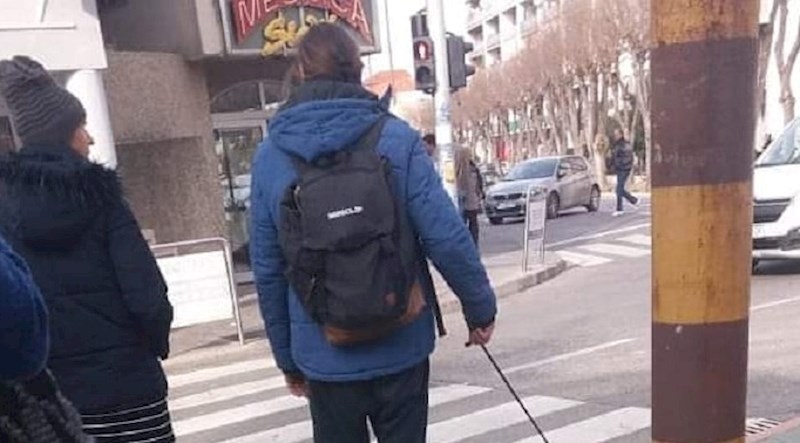 U Dalmaciji su uslikali prizor koji se kod nas ne viđa često