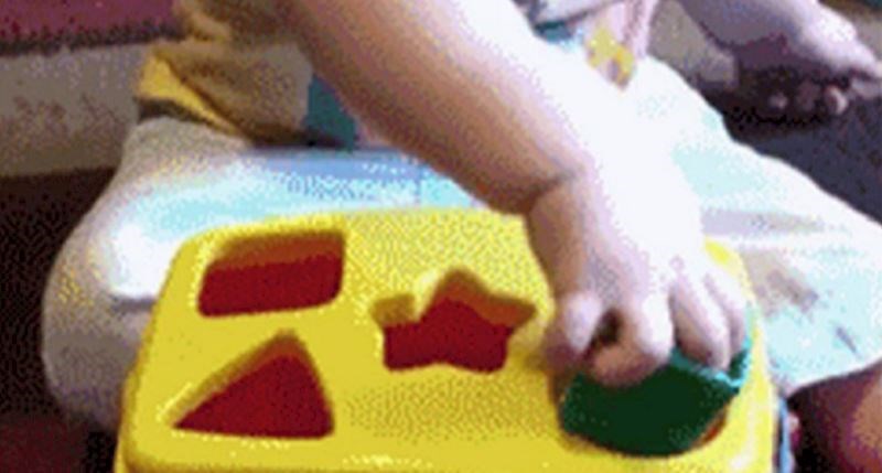 Ovaj malac nikako nije mogao shvatiti igračku, pogledajte kako je riješio svoj problem