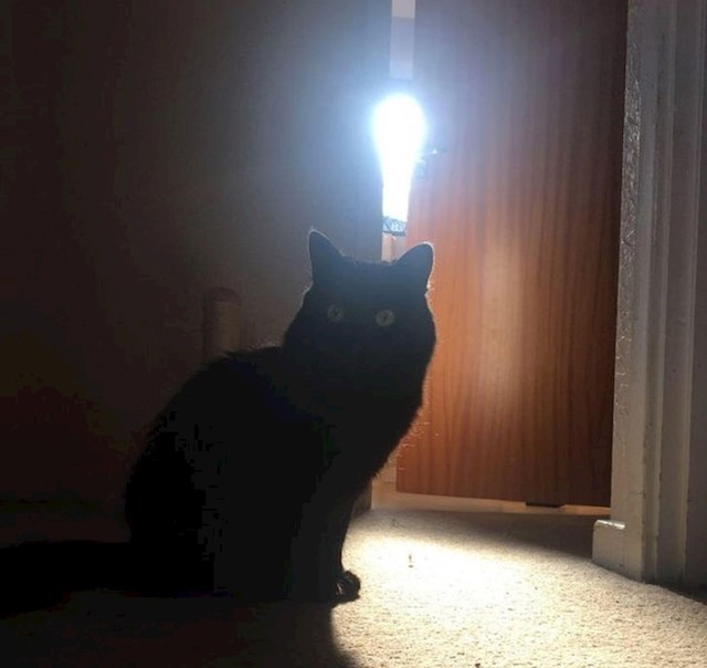 Imam ideju!