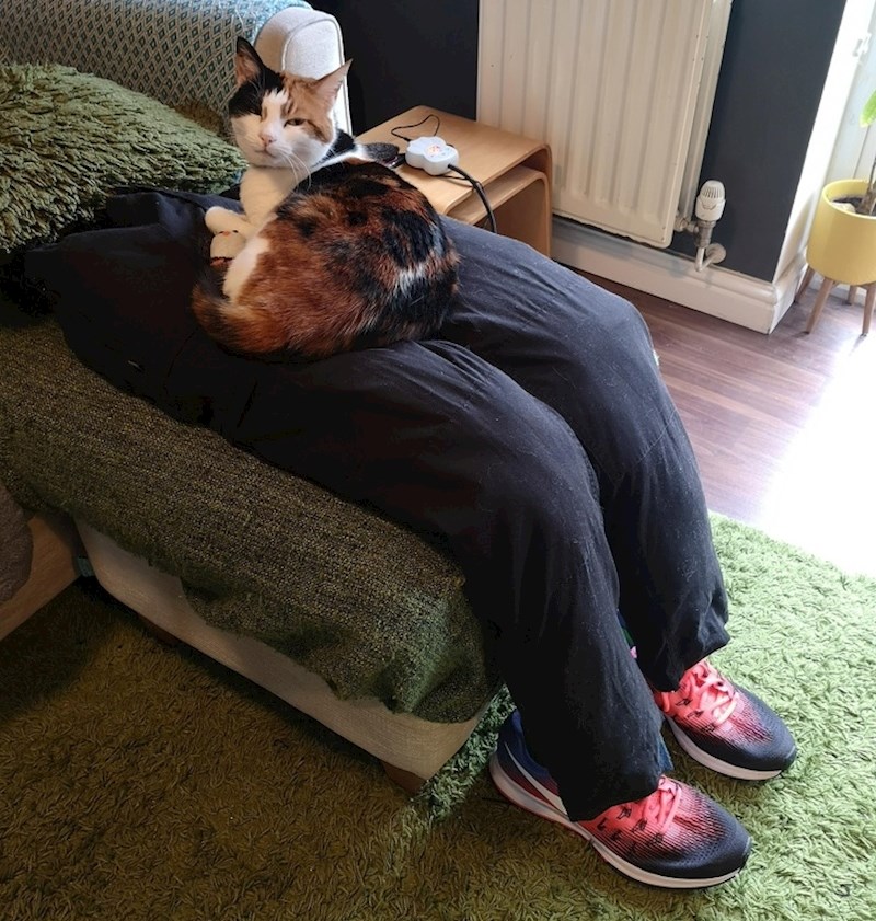 Ovi ljudi su morali mački napraviti "lažne noge" kako bi mogli raditi