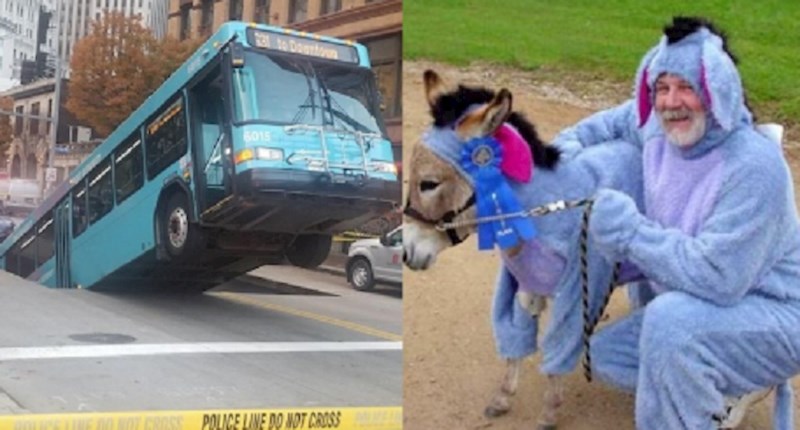 Ovi prizori se ne viđaju svaki dan, pogledate ih i dobro se nasmijte