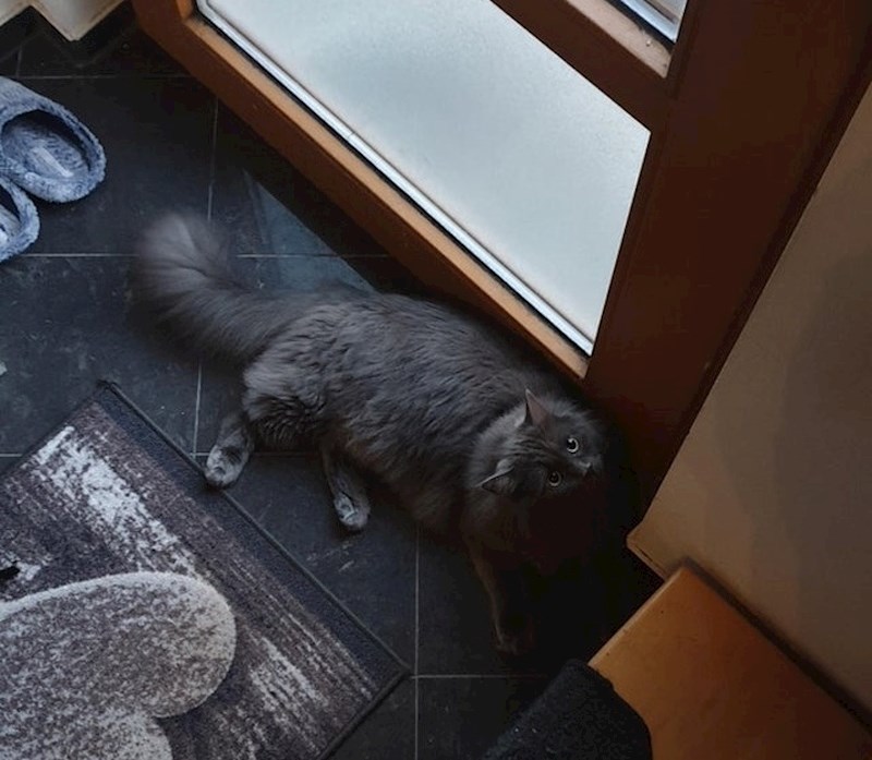 Ne dozvoljava nikome da izađe iz kuće, jedino rješenje je dati joj slatkiš