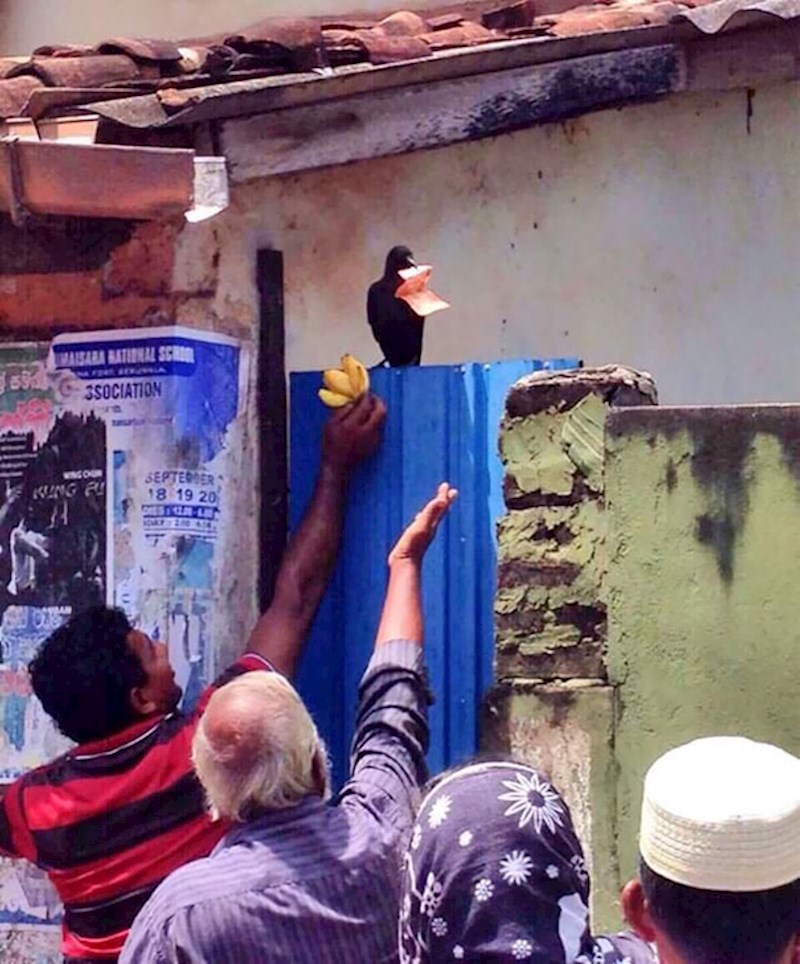 a5db6365-d7fa-468c-b083-562bb70872e0.jpe