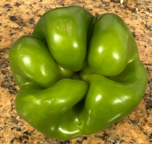 Paprika koja izgleda kao stisnuta šaka