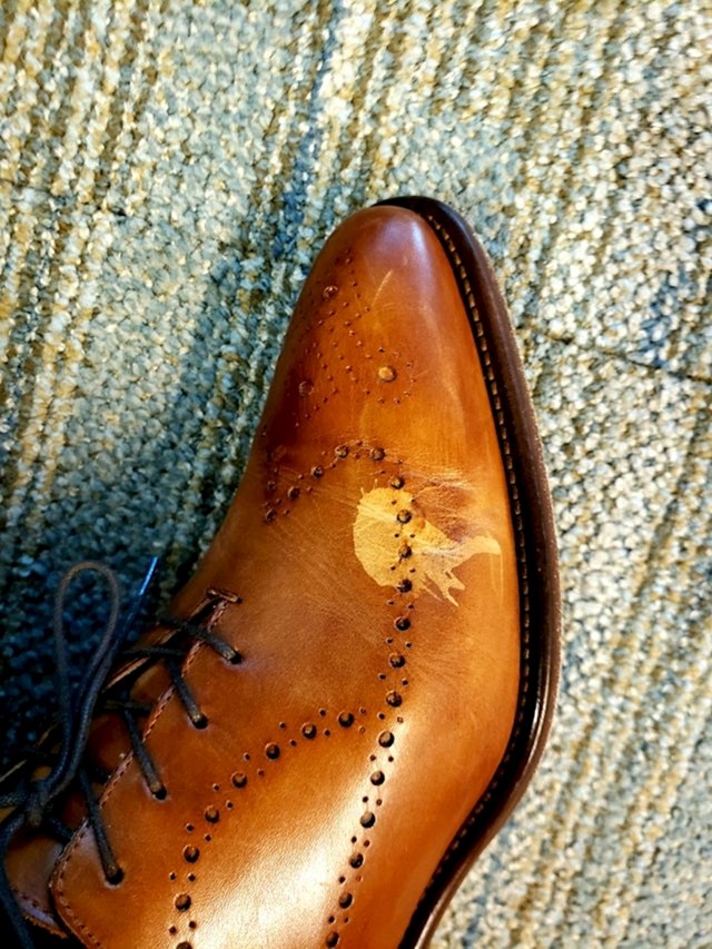 Kako izgleda kada dezinficijens za ruke kapne na nove cipele:
