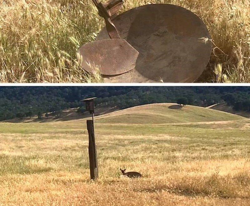 Čovjek se veselio što će vidjeti srnu na izletu. To je nakupina metala.