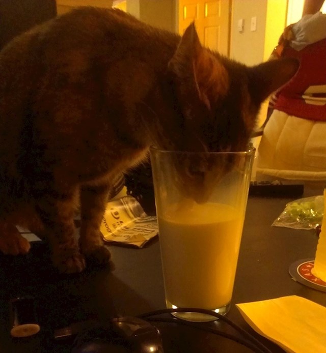 "Obožava ovako piti mlijeko!"