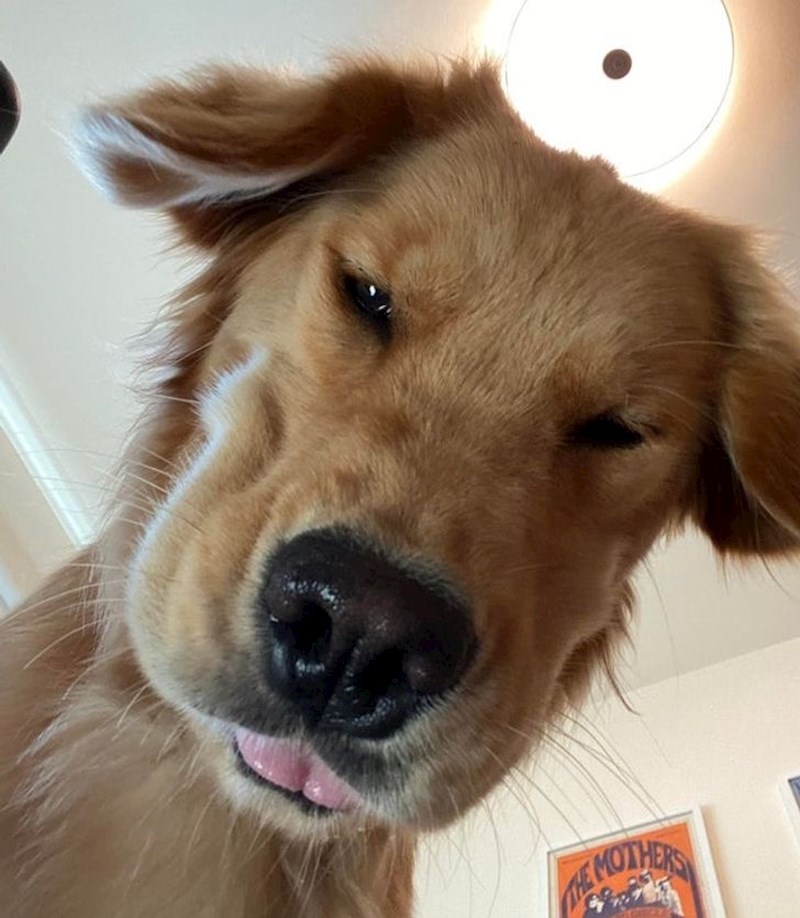 "Probudio sam se i ugledao ovo..."