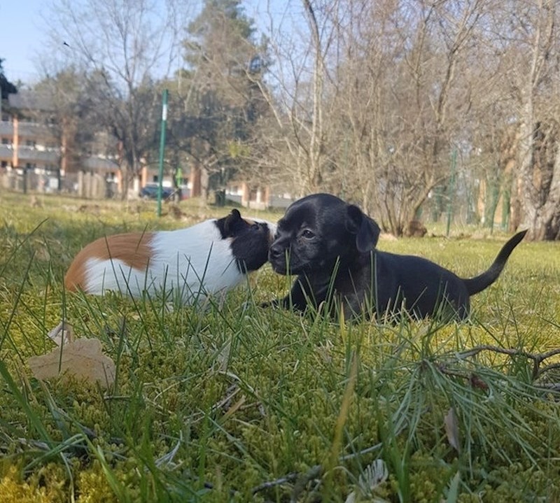 "Njihovo prijateljstvo inspirira!"