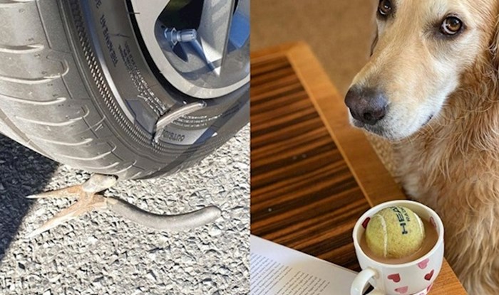 13 ljudi kojima dan nije mogao početi gore