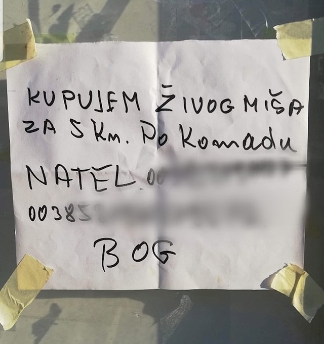 Kupuje živog miša! :D