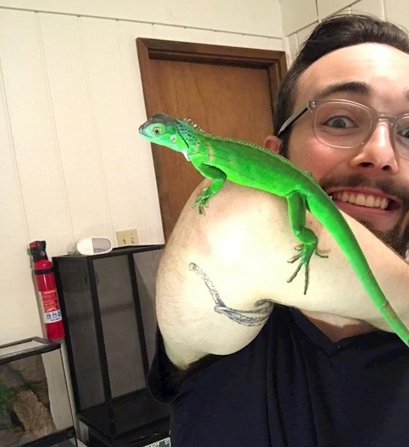 "Ova slika mog brata i njegove iguane izgleda kao prilično loš photoshop"