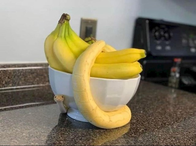 Opasna banana