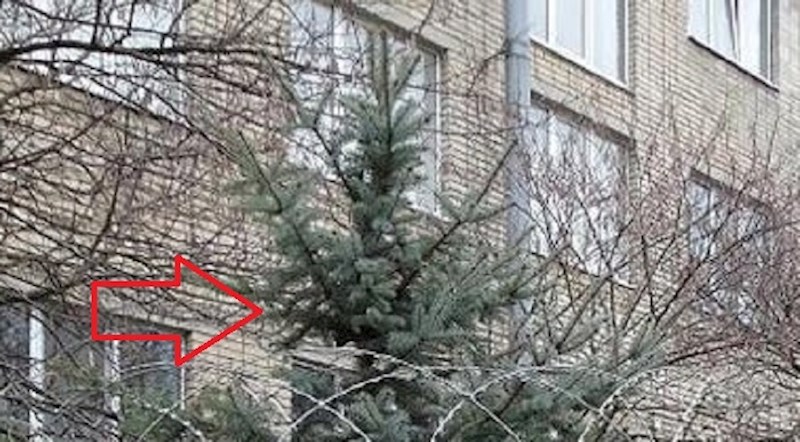Ovako samo Rusi mogu "okititi" božićno drvce, pogledajte što su ljudi slikali