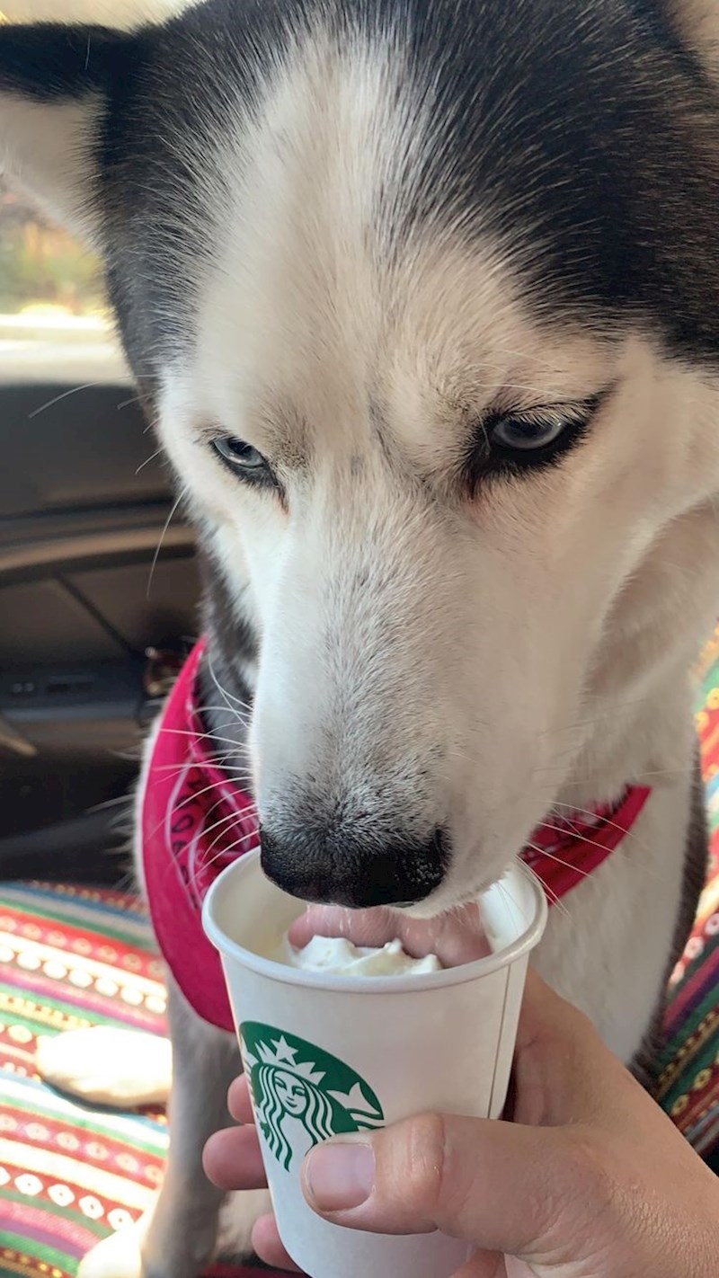 Jezik izgleda kao prst