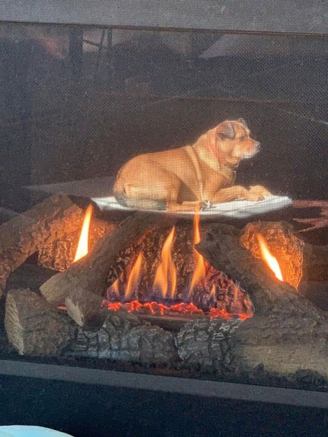 Hot dog?