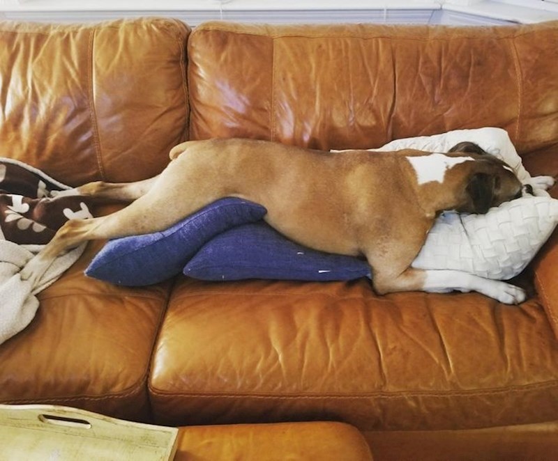 Nakon napornog radnog dana