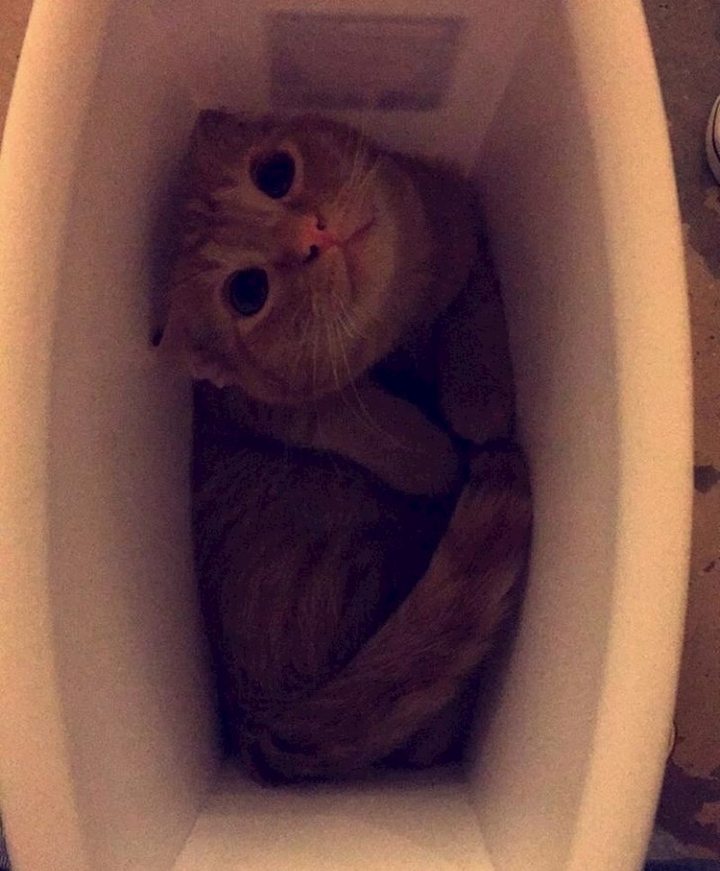 O ne, pronašao si me!