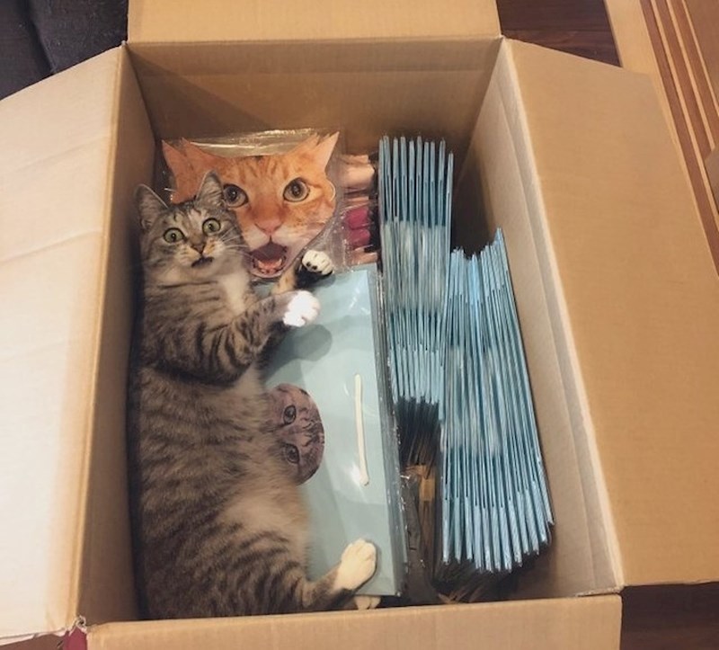 Izraz lica potpuno pogođen!