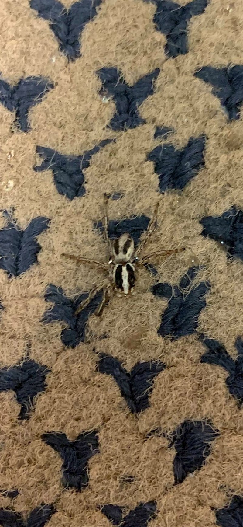 "Ostavio sam otvorenu bocu vode i kada sam popio gutljaj, ovo sam ispljunuo"