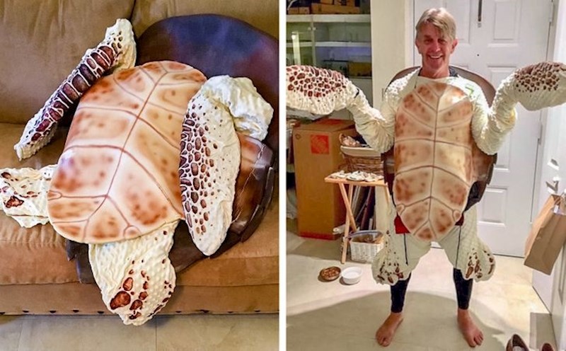 Kad frendu treba kostim od kornjače, ti to i napraviš :D