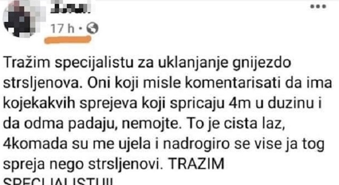 Lik je tražio savjet kako ukloniti gnijezdo stršljenova, poslušao je najgoru moguću ideju