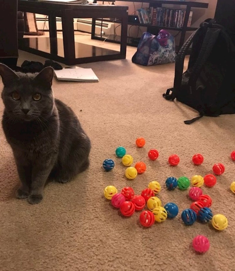 "Pomakla sam štednjak i pronašla njene tajne zalihe"