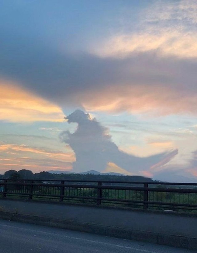 Godzilla na nebu