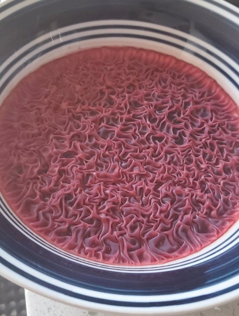 "Ostavio sam sok od cikle preko noći u kuhinji. Ovo se dogodilo"