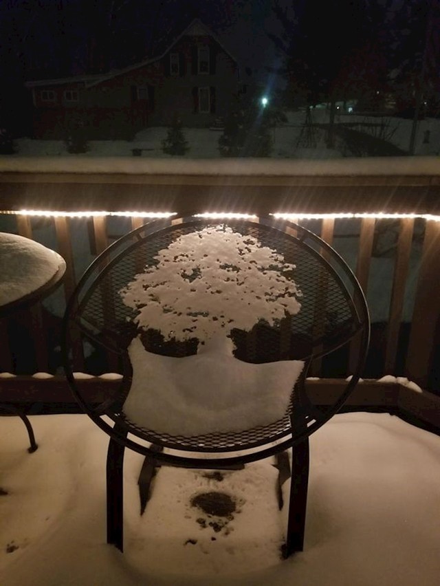 Stablo od snijega