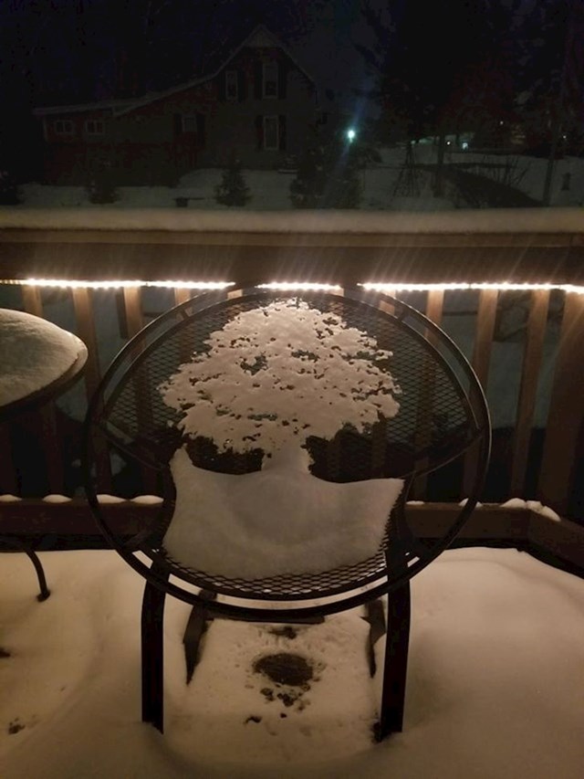 Stablo od snijega