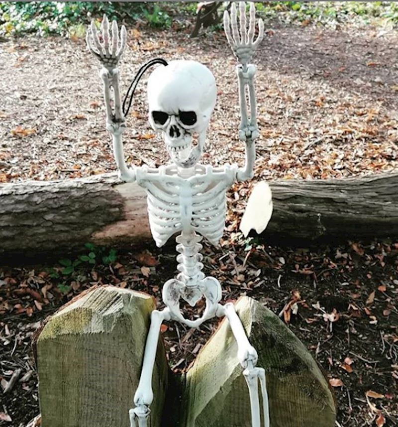 Između rođenja i smrti, ljudsko tijelo smanji broj kostiju s 300 na čak 206