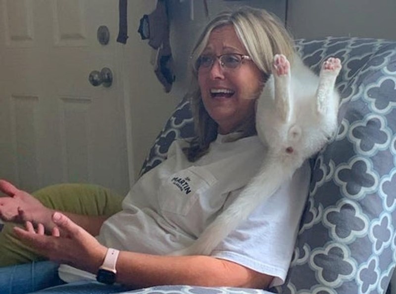 "Naša nova mačka je pomalo čudna..."