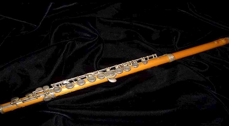 Aulophobia - strah od flaute