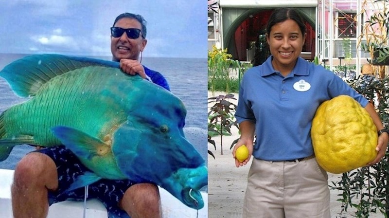 Životinje i predmeti za koje nikada ne bi rekli da mogu biti tako veliki