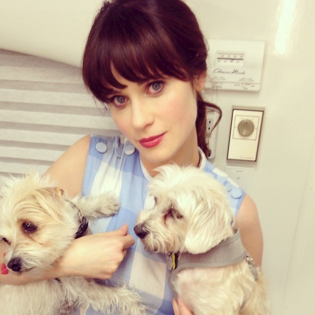 Zooey Deschanel, Dot i Zelda