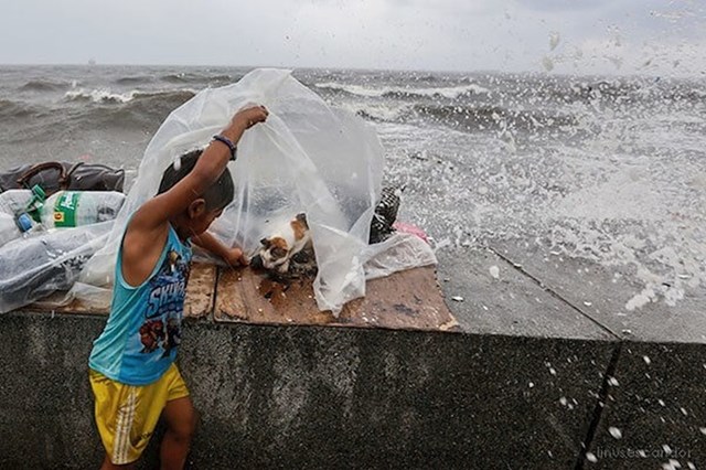 Filipinski dječak štiti mačku koja koti mačiće za vrijeme kiše