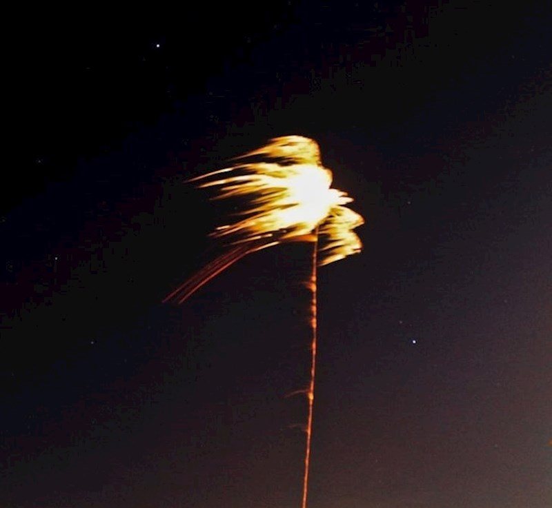 Vatromet koji izgleda kao palma