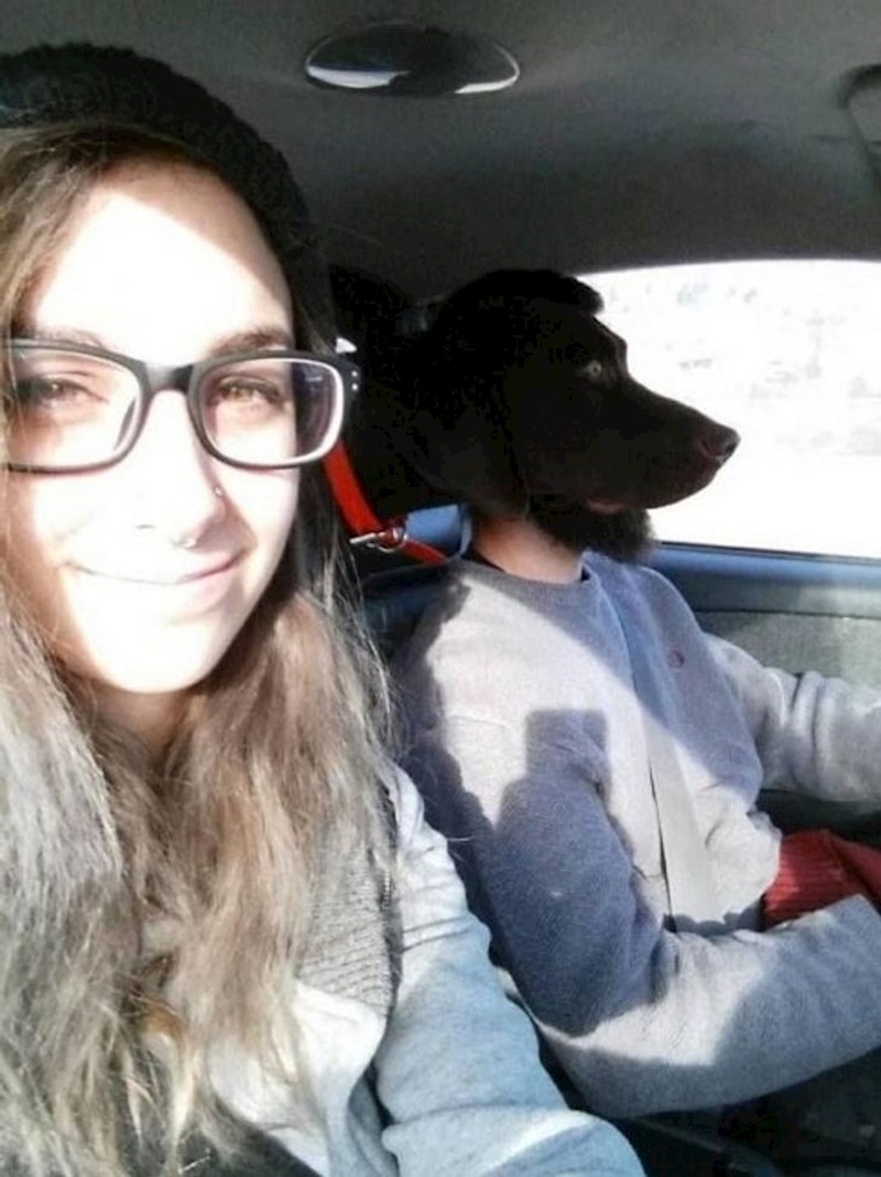 "Moj pas zna voziti auto!"