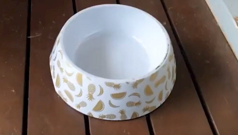 Okrenuli su pseću zdjelicu, ono što su našli ispod ih je prestravilo