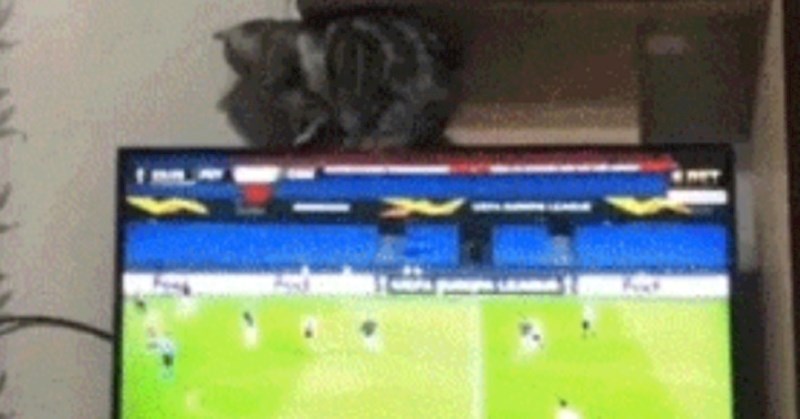 Tip je mislio da je pametno snimati macu kako se penje po televizoru. Sad to više ne misli