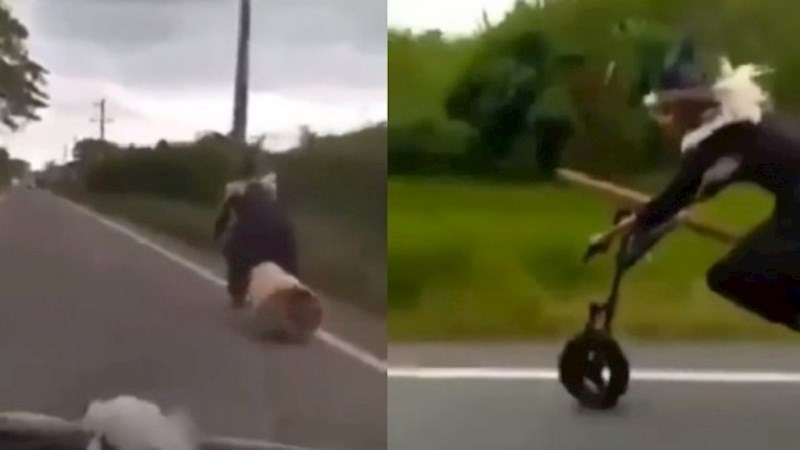 Lik je snimio čudan prizor na cesti, kakvo je to prijevozno sredstvo?