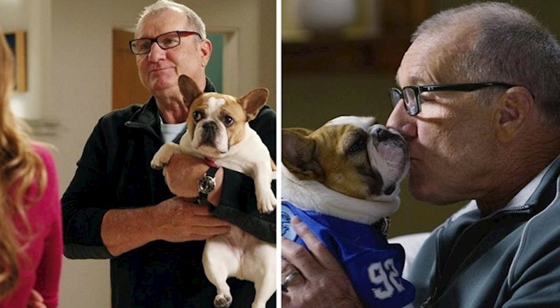 6 slavnih koji su zavoljeli svoje četveronožne kolege sa snimanja i udomili ih