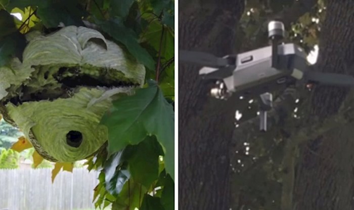 Lik je pokazao kako se riješiti ogromnog gnijezda stršljena pomoću drona