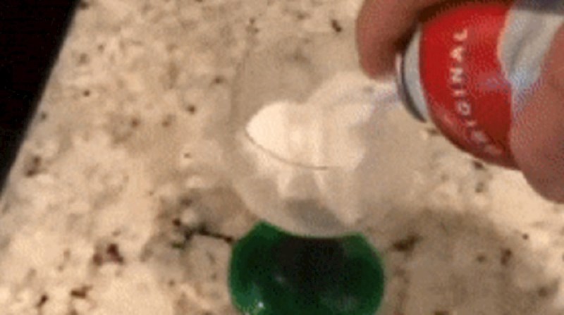 Čovjek je istisnuo šlag u zdjelicu, ono što se zatim dogodilo je urnebesno