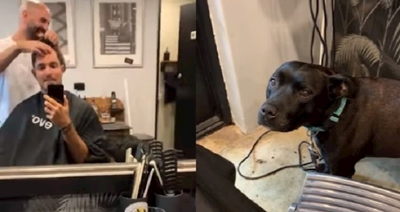 VIDEO Lik je došao sa svojim psom u frizerski salon, ljudi se nečemu nisu mogli prestati smijati