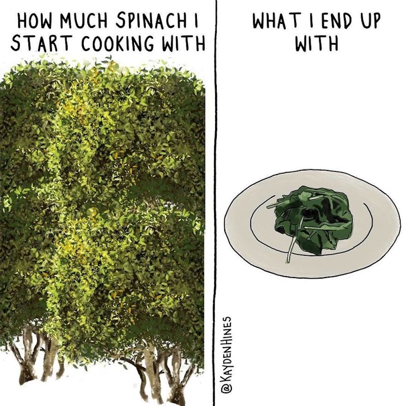 Kad skuhaš gomilu špinata i dobiješ ovo: