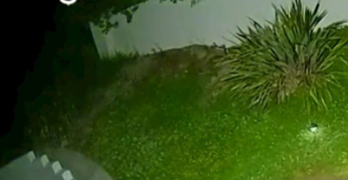 Primijetili su da je netko u noći posjetio teren za golf, kamera je sve snimila