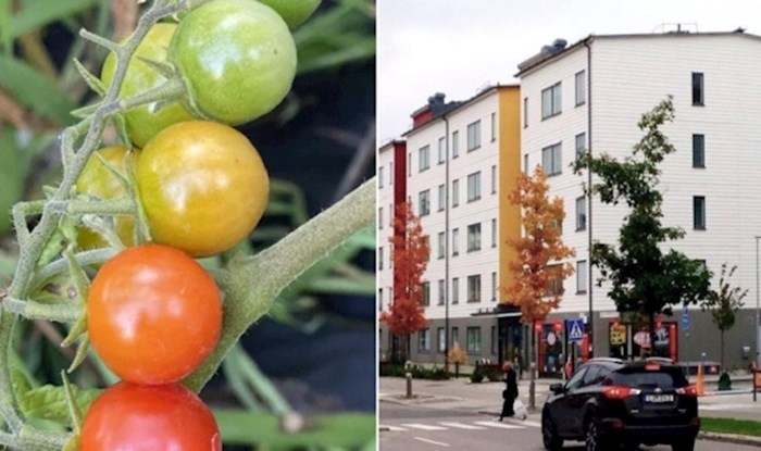 Savršene fotke koje će zadovoljiti vašeg unutarnjeg perfekcionista